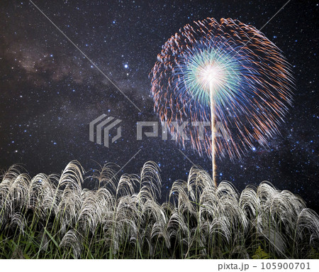 ススキと花火と星空。秋の夜のイメージ素材。 105900701