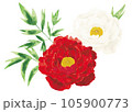 水彩イメージの牡丹の花 105900773