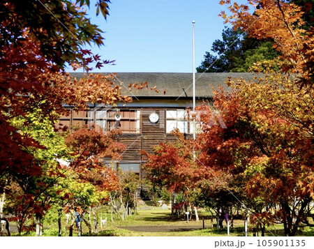木造校舎を背景に紅葉したカエデが美しい風景 奈良カエデの郷ひらら 奈良県宇陀市 木造校舎を背景に紅葉したカエデが美しい風景 奈良カエデの郷ひらら 奈良県宇陀市 105901135