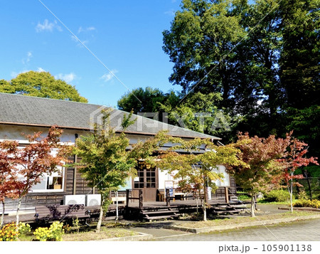 木造校舎を背景に紅葉したカエデが美しい風景 奈良カエデの郷ひらら 奈良県宇陀市 木造校舎を背景に紅葉したカエデが美しい風景 奈良カエデの郷ひらら 奈良県宇陀市 105901138