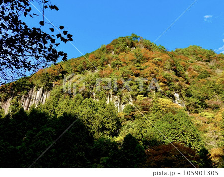 県道名張曽爾線から紅葉の香落渓を見上げた風景　奈良県宇陀郡曽爾村 105901305