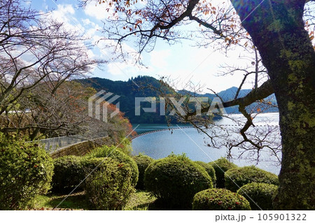 青蓮寺ダムから秋の青蓮寺湖を見た風景　三重県名張市 105901322