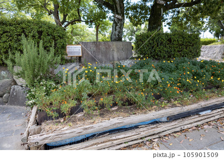 大阪・高槻市/高槻城公園の石に掘られた旧公園名(2023年8月6日撮影) 大阪・高槻市/高槻城公園の石に掘られた旧公園名(2023年8月6日撮影) 105901509