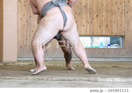 相撲 大相撲 力士 相撲 大相撲 力士 105901515