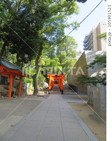 稲荷神社 生田神社社殿北東、東門付近 稲荷神社 生田神社社殿北東、東門付近 105901523