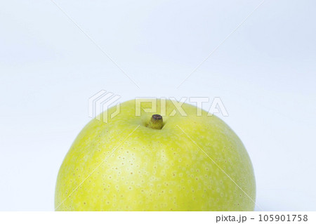 白背景の梨の写真 青梨 二十世紀梨 105901758
