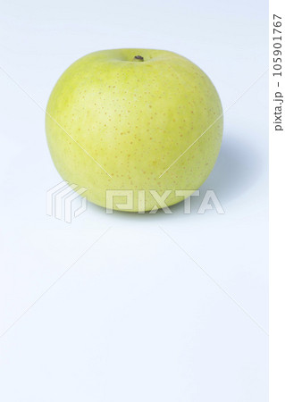 白背景の梨の写真 青梨 二十世紀梨 105901767