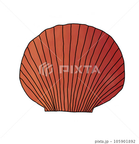 vector set of sea shell 105901892