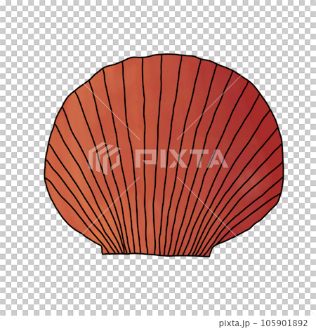 vector set of sea shell 105901892