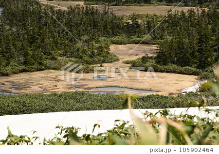 八幡沼周辺の風景 八幡沼周辺の風景 105902464