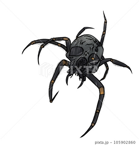 black crab on white background 105902860