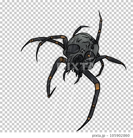 black crab on white background 105902860