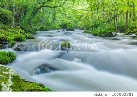 「青森県」新緑の森を流れる奥入瀬渓流　夏 105902881