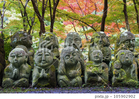 秋の京都、愛宕念仏寺の紅葉と、かわいいお地蔵さん 秋の京都、愛宕念仏寺の紅葉と、かわいいお地蔵さん 105902902
