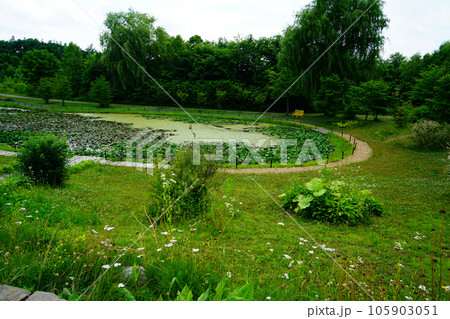 北海道　十勝ヒルズ 105903051