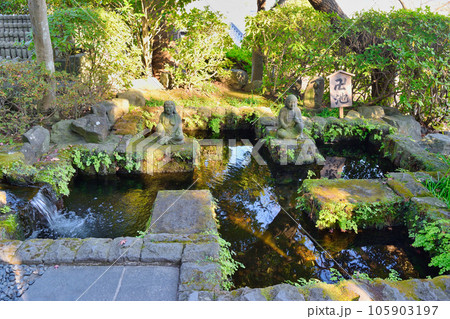 鎌倉 長谷寺の卍池 105903197