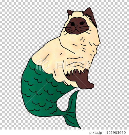 vector of cat vector of cat 105903650