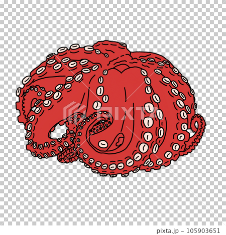 vector illustration of red octopus vector illustration of red octopus 105903651