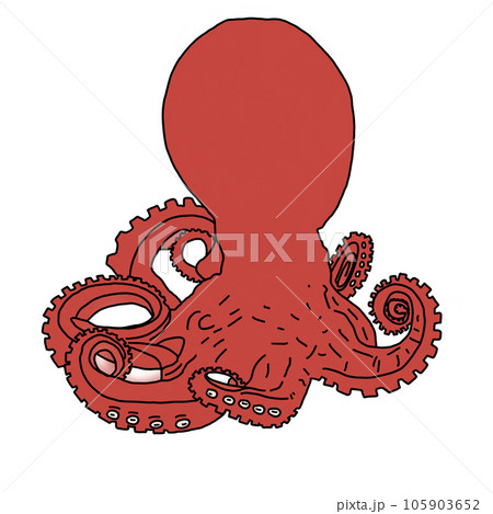 octopus cartoon on white background 105903652