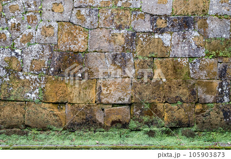飫肥城跡の苔と杉の風景 105903873