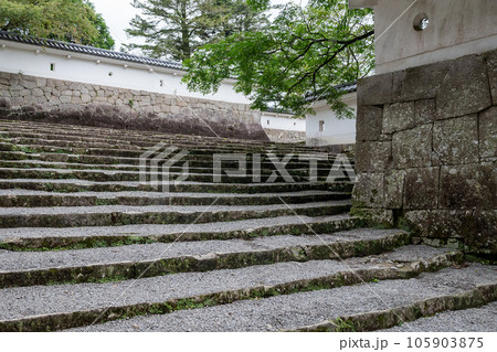 飫肥城跡の苔と杉の風景 飫肥城跡の苔と杉の風景 105903875