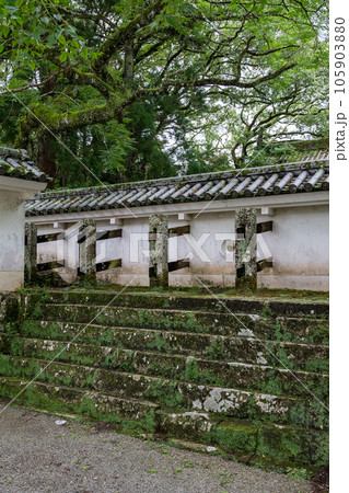 飫肥城跡の苔と杉の風景 飫肥城跡の苔と杉の風景 105903880