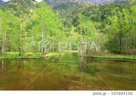 上高地 田代池 上高地 田代池 105904108