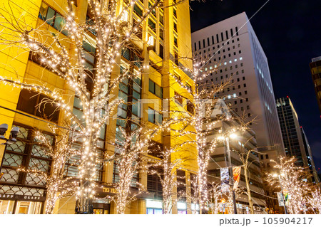 【東京の都市風景】丸の内イルミネーション(ペニンシュラホテル) 【東京の都市風景】丸の内イルミネーション(ペニンシュラホテル) 105904217
