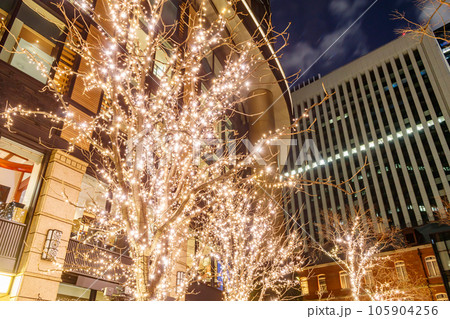 【東京の都市風景】丸の内イルミネーション(一号館広場) 【東京の都市風景】丸の内イルミネーション(一号館広場) 105904256