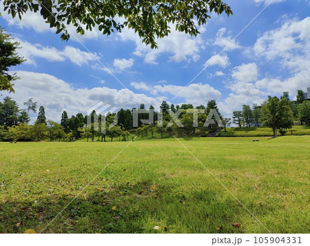 夏空と芝生 105904331