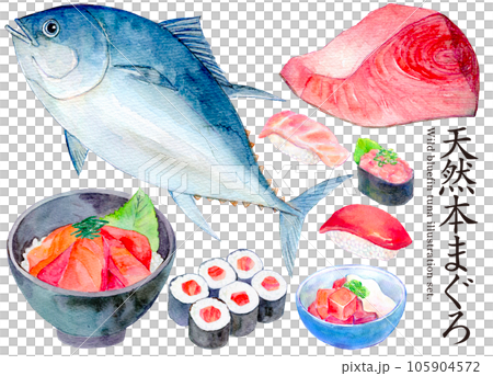 水彩イラストセット　天然本マグロ 105904572