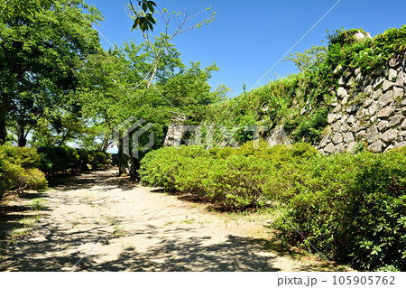 日本100名城・松坂城 105905762