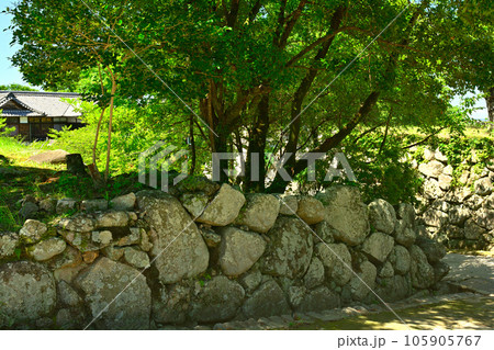 日本100名城・松坂城 105905767