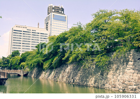 日本100名城・駿府城 日本100名城・駿府城 105906331