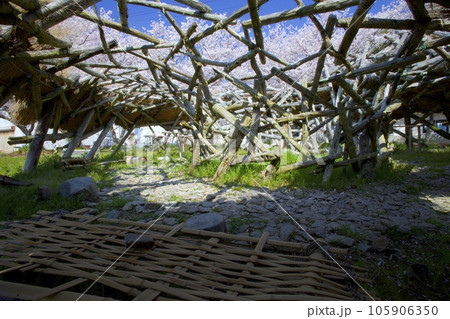 琵琶湖に浮かぶ離島「沖島」にある休憩スポット「RYUBOKU HUT」/日本遺産 105906350