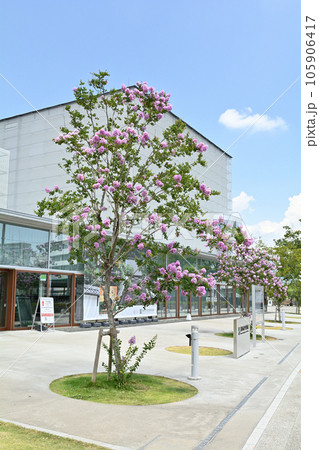静岡市歴史博物館 105906417