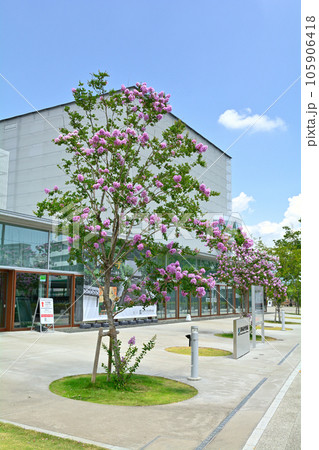 静岡市歴史博物館 105906418