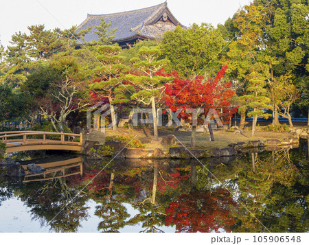 秋の奈良公園三社託宣池の紅葉 秋の奈良公園三社託宣池の紅葉 105906548