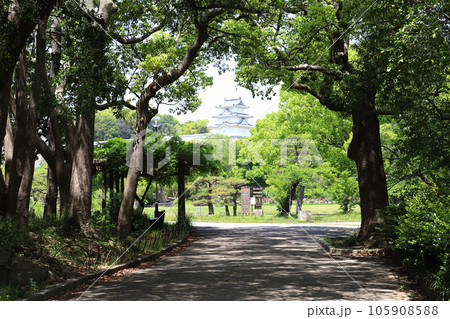 兵庫県立明石公園(兵庫県 明石市) 兵庫県立明石公園(兵庫県 明石市) 105908588