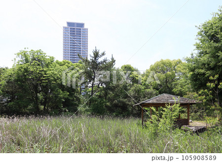 兵庫県立明石公園から望む超高層ビル（兵庫県 明石市） 105908589