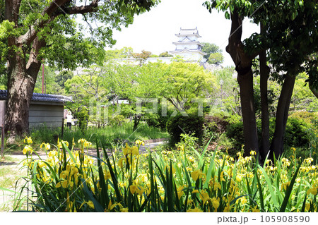 兵庫県立明石公園(兵庫県 明石市) 兵庫県立明石公園(兵庫県 明石市) 105908590