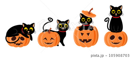 Set of cute black cat and carved pumpkin . Halloween concept . Vector . Set of cute black cat and carved pumpkin . Halloween concept . Vector . 105908703