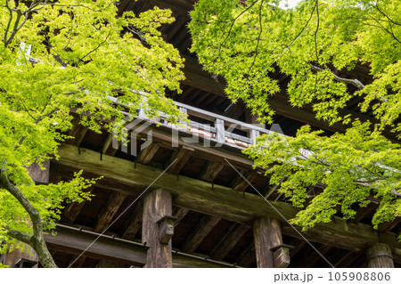 新緑の京都の風景 105908806