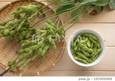 夏に美味しい枝豆 夏に美味しい枝豆 105908966