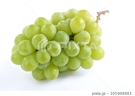 ぶどう（黄玉） 105908983