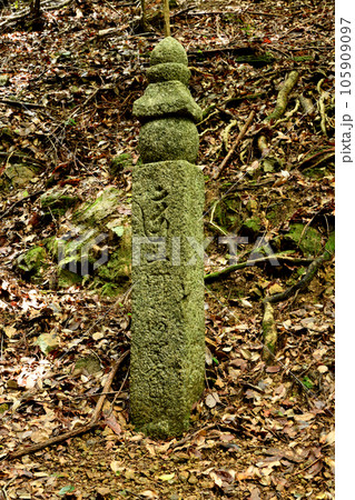 一町石(勝尾寺旧参道) 【大阪府箕面市】 一町石(勝尾寺旧参道) 【大阪府箕面市】 105909097
