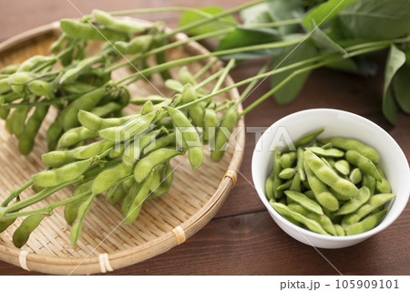 夏に美味しい枝豆 105909101