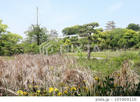 明石城(兵庫県 明石市) 明石城(兵庫県 明石市) 105909110