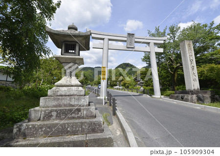 日吉大社　表参道の大鳥居　滋賀県大津市坂本 105909304
