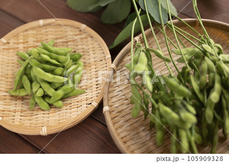夏に美味しい枝豆 夏に美味しい枝豆 105909328
